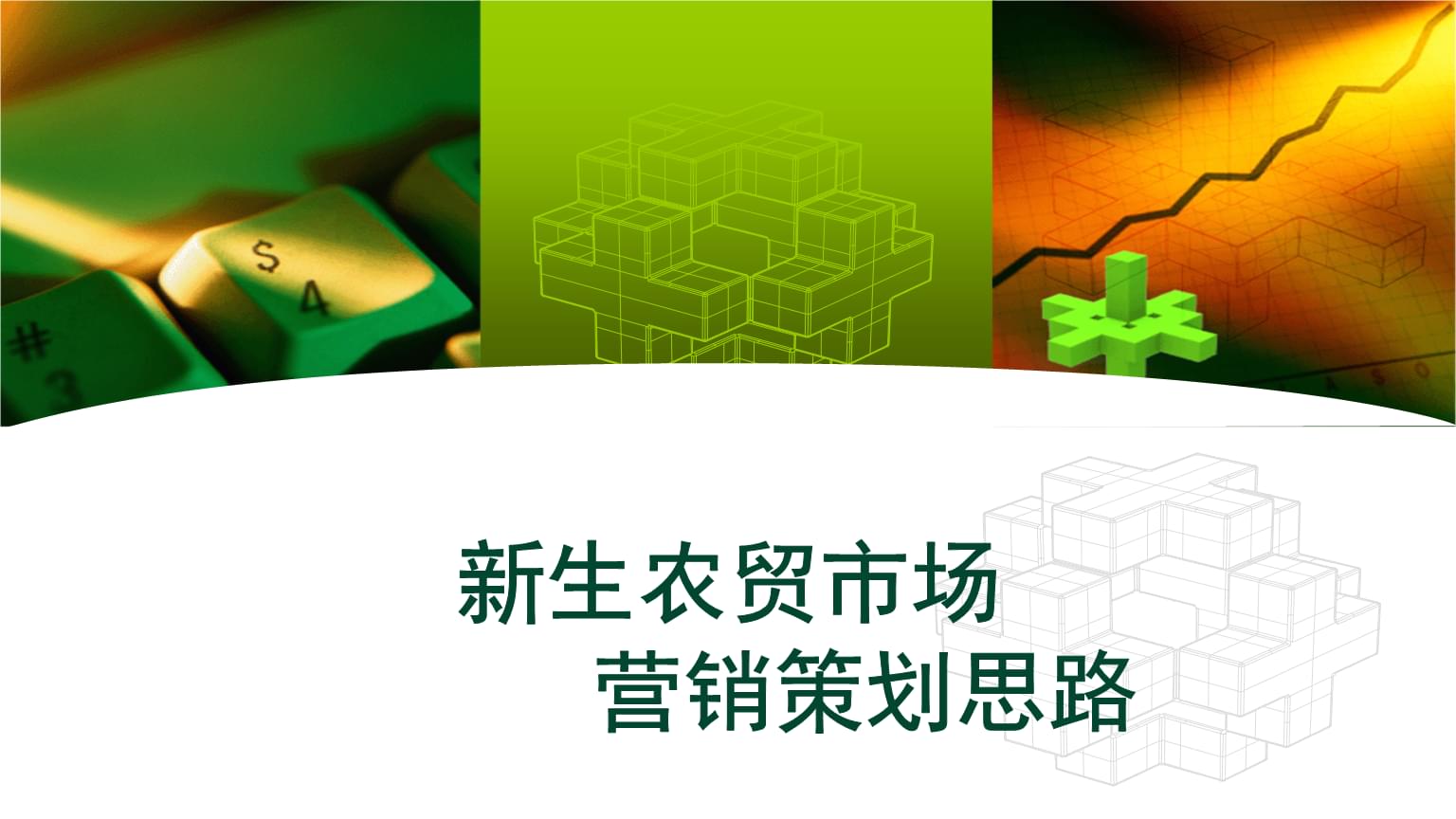 新生农贸市场 精准营销策划方案